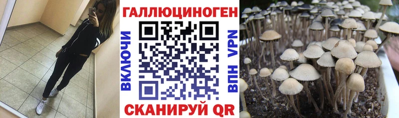 где купить наркоту Лиски МЕГА ТОР Галлюциногенные грибы Magic Shrooms