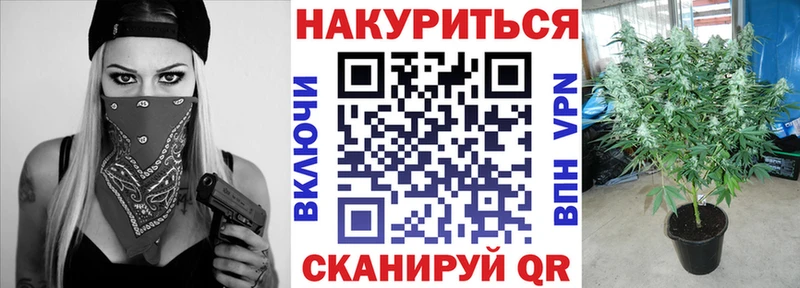 Каннабис семена  дарк нет официальный сайт  Лиски 